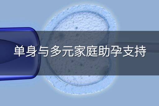 单身与多元家庭助孕支持