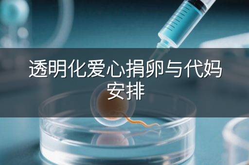 透明化爱心捐卵与代妈安排