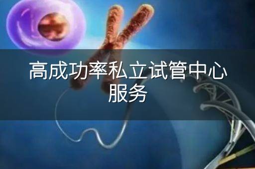 高成功率私立试管中心服务