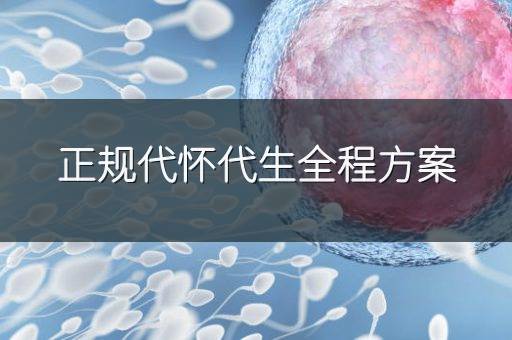 正规代怀代生全程方案